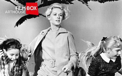 El paquete premium FilmBox ahora incluye FilmBox Arthouse
