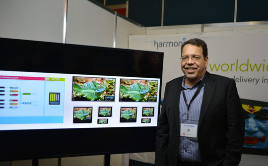 Dino Muñoz, director de Cuentas Estratégicas para América Latina y el Caribe de Harmonic