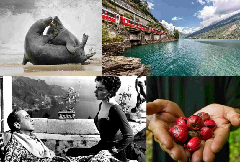 'Scotland - The New Wild' y 'Magical Train Journeys Switzerland' (arriba) fueron adquiridas por SBS Australia. La croata croata HRT se llevó a casa 'Love & Dolce Vita – History of Amalfi Coast' y 'The Magic World of Spices'