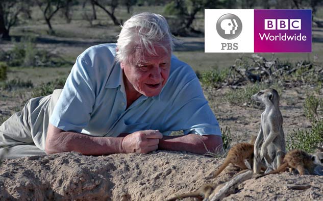 David Attenborough presenta Waking Giants