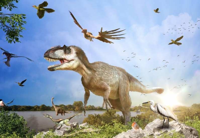 Rise of Birds - Dinosaurs Among Us
