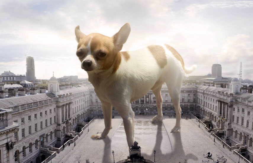 Size Matters, uno de los estrenos más importantes del screening de ZDF.