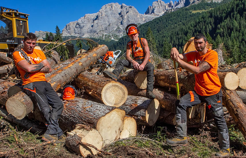 “Undercut: Wooden Treasure“, de GiUMa Produzioni en Italia, sigue el heroico trabajo de los madereros italianos después de la tormenta Vaia en 2018, al norte de Italia.